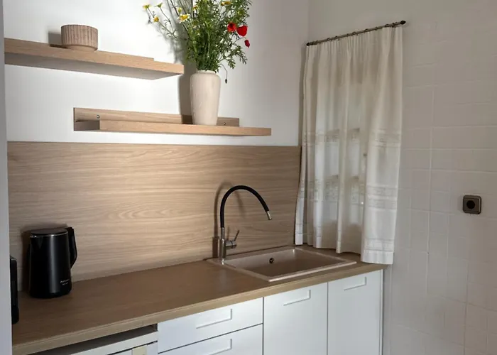 招待所 Limeni Studios